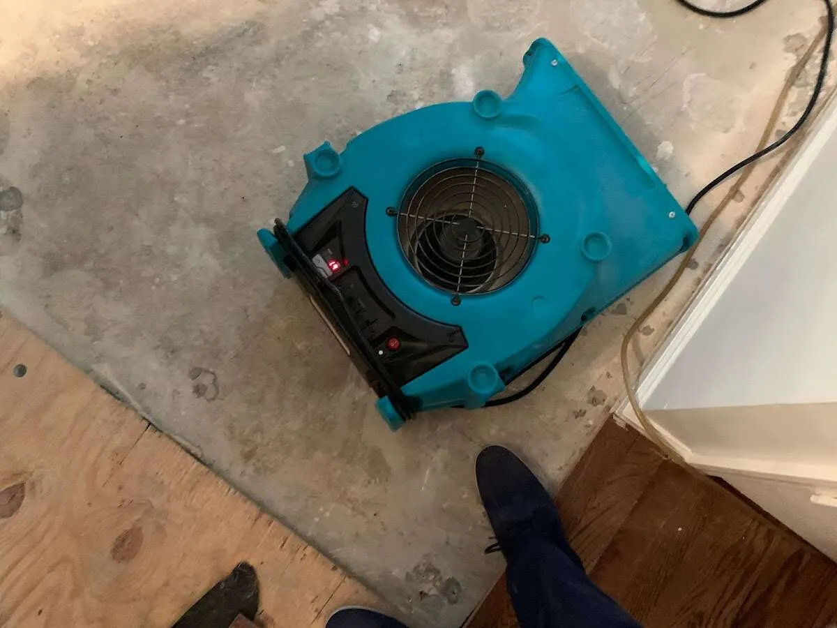 Air mover drying subfloor during Commercial Water Damage Restoration in Dexter