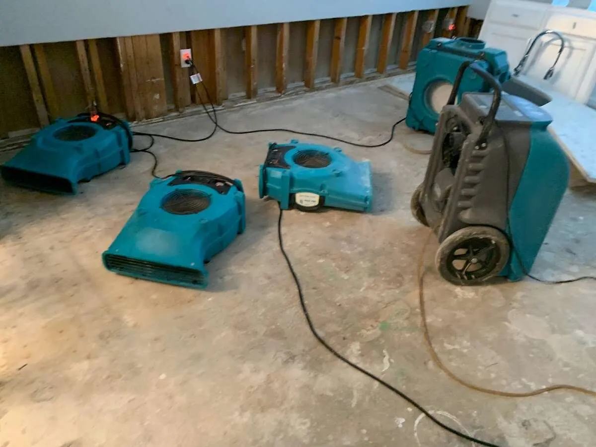 Water Damage Restoration services in Dexter, MI